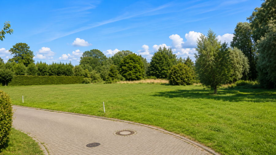 Visualisiertes  Straßenblick