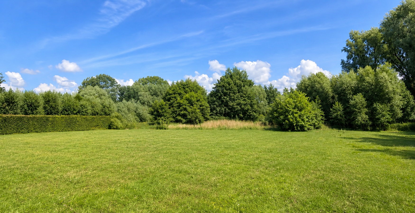 Real Estate Title Image Background