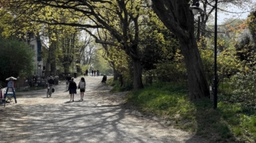 Insel Hiddensee – OT Kloster Baugrundstück für 1 Haus mit 2 WE, 18565 Insel Hiddensee, Wohngrundstück