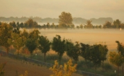 Fensterblick aufs Feld - Sonnenhaus - Flexibles Ferienhaus am Bodden – Perfekt für Mehrgenerationen und Selbstnutzer