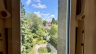 Blick vom Spitzboden in den Garten