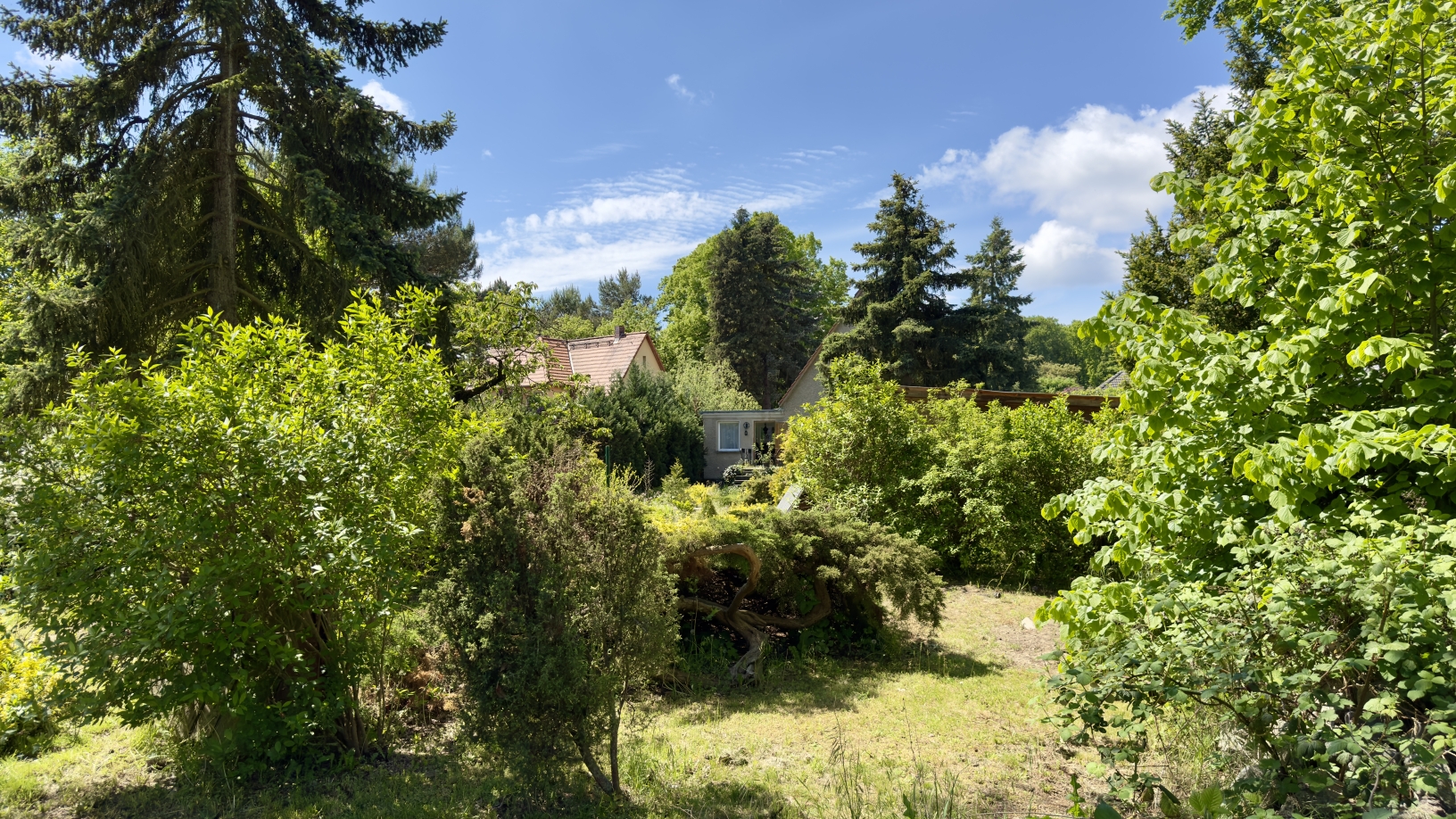 Gartenimpression 3