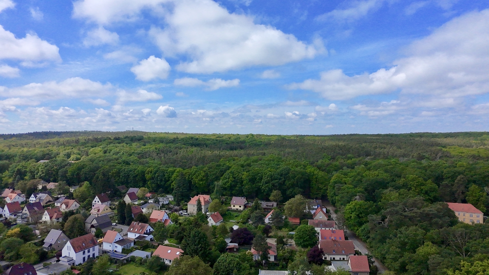 Wald hinter dem Haus - Drohne