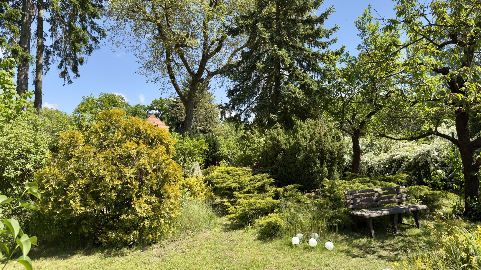 Gartenimpression 1