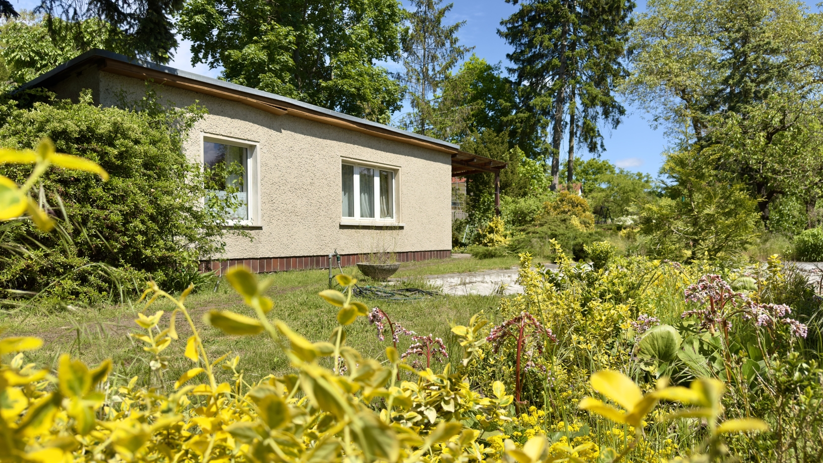 Blick auf den Bungalow