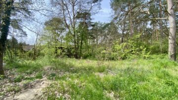 Schönes Wochenendgrundstück mit sanierungsbedürftigem Wochenendhaus, 14554 Seddiner See, Freizeit