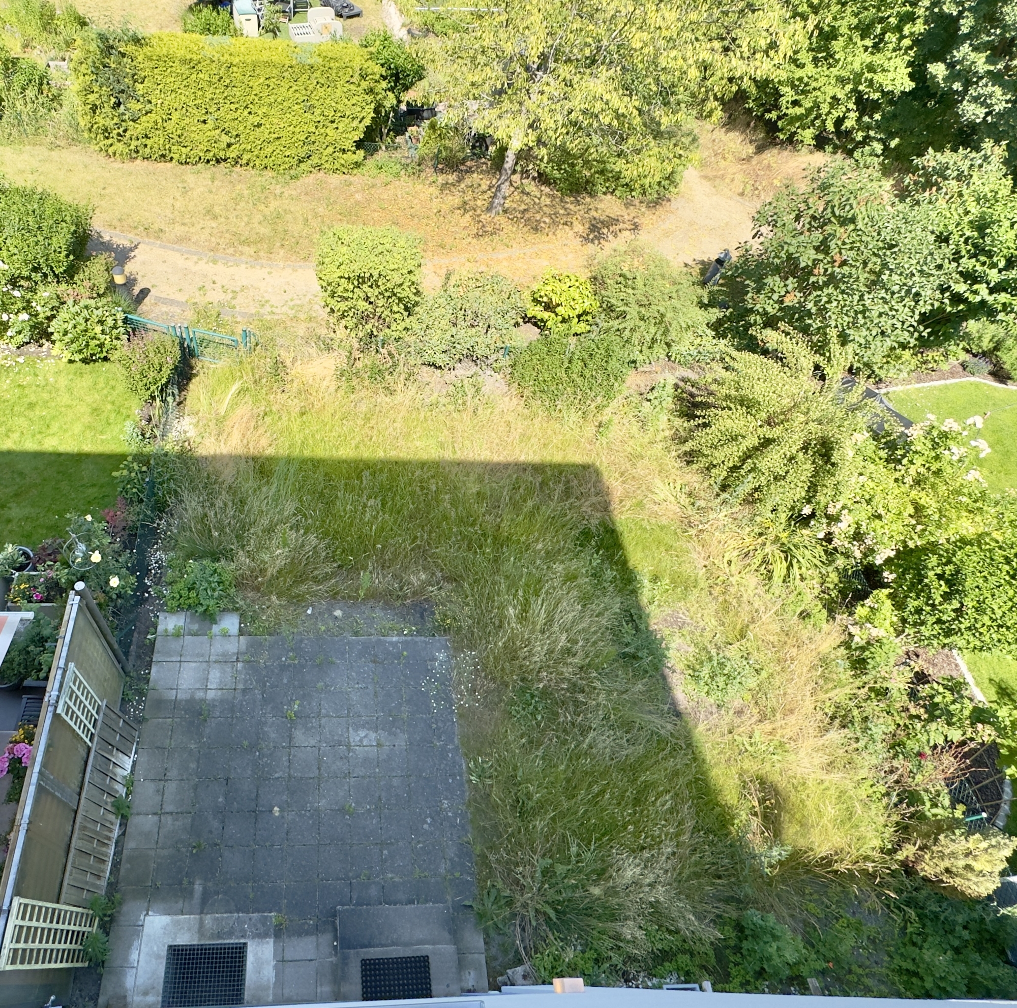 Blick auf Terrasse und Grundstück