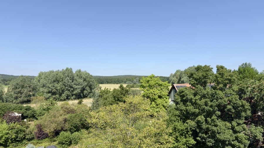 Fernblick