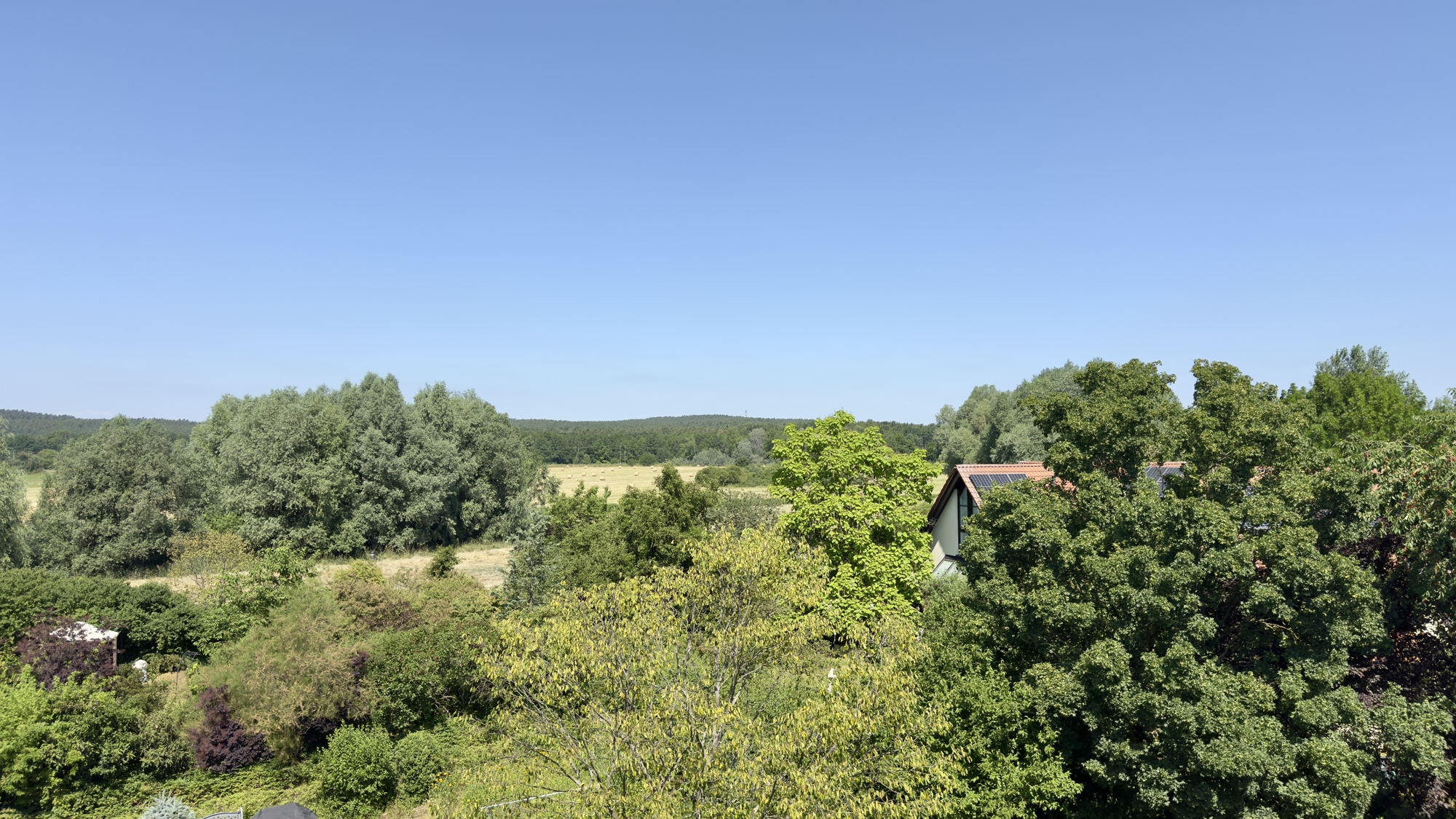 Fernblick