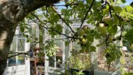 Gartenidyll in Potsdam - Kleingartenparzelle sucht neue Pächter - Apfelbaum mit Blick auf das Gewächshaus