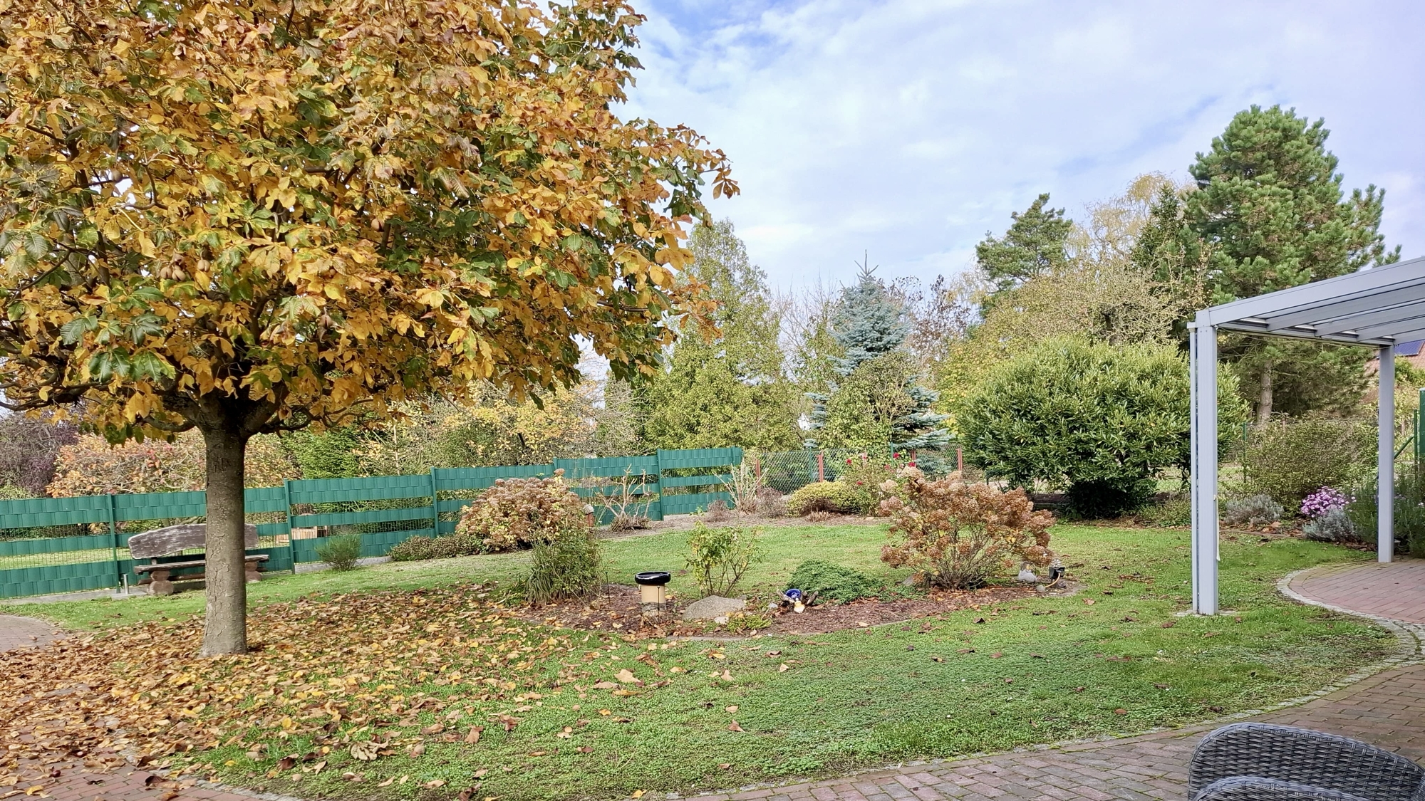 Blick in den Garten