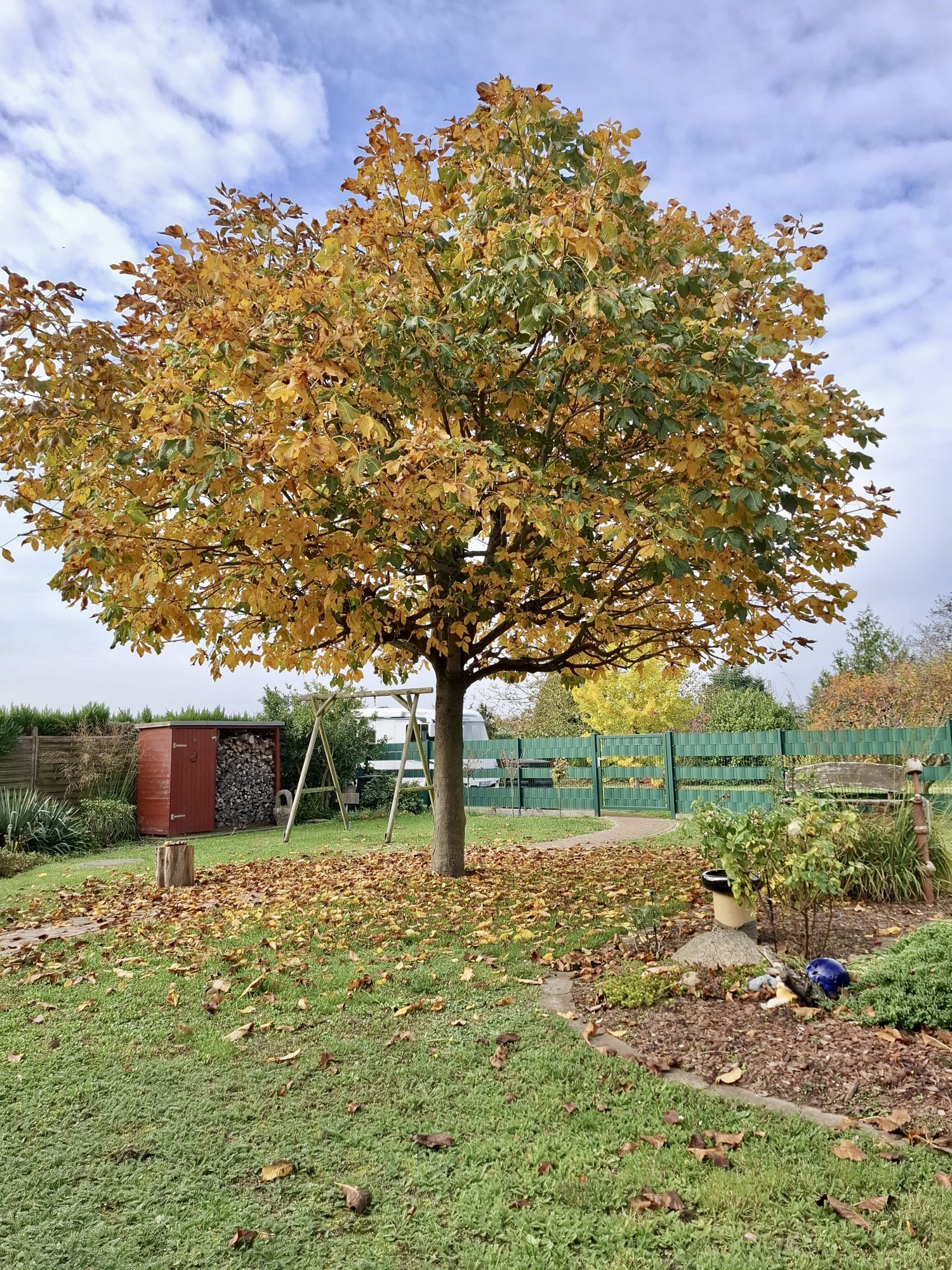 Herbststimmung
