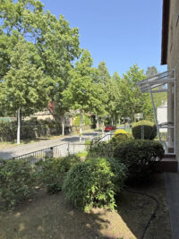 Vorgarten1