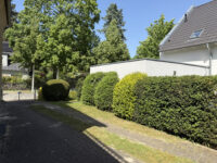 Auffahrts / 2 Stellpätze