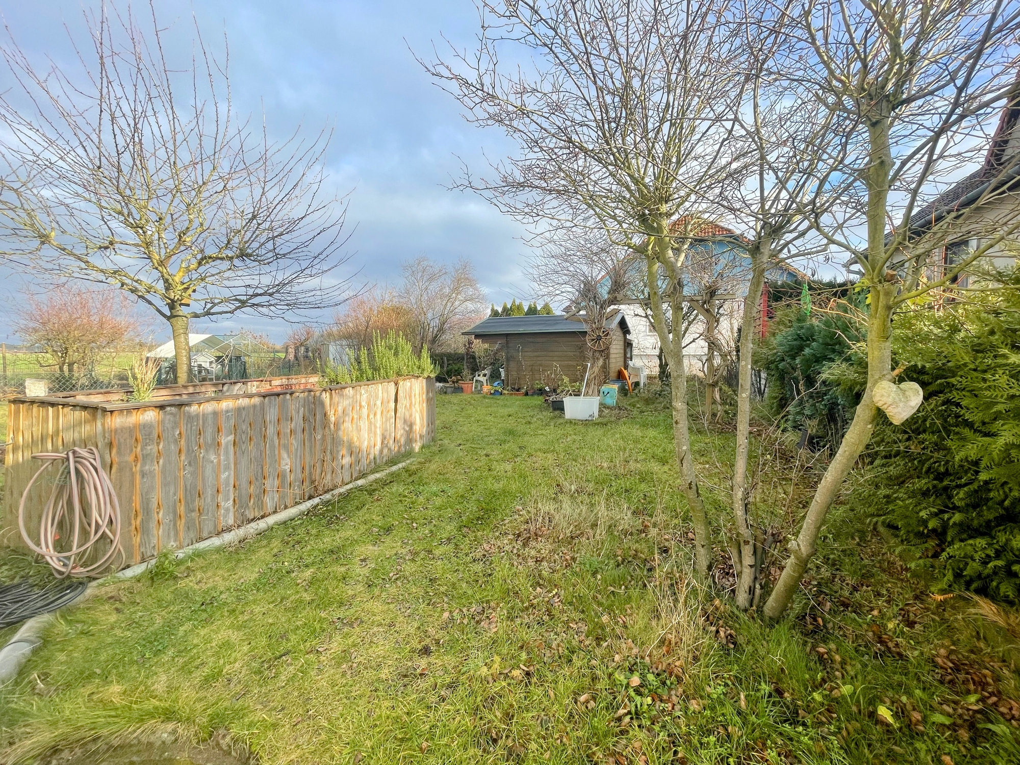 Blick in den Garten