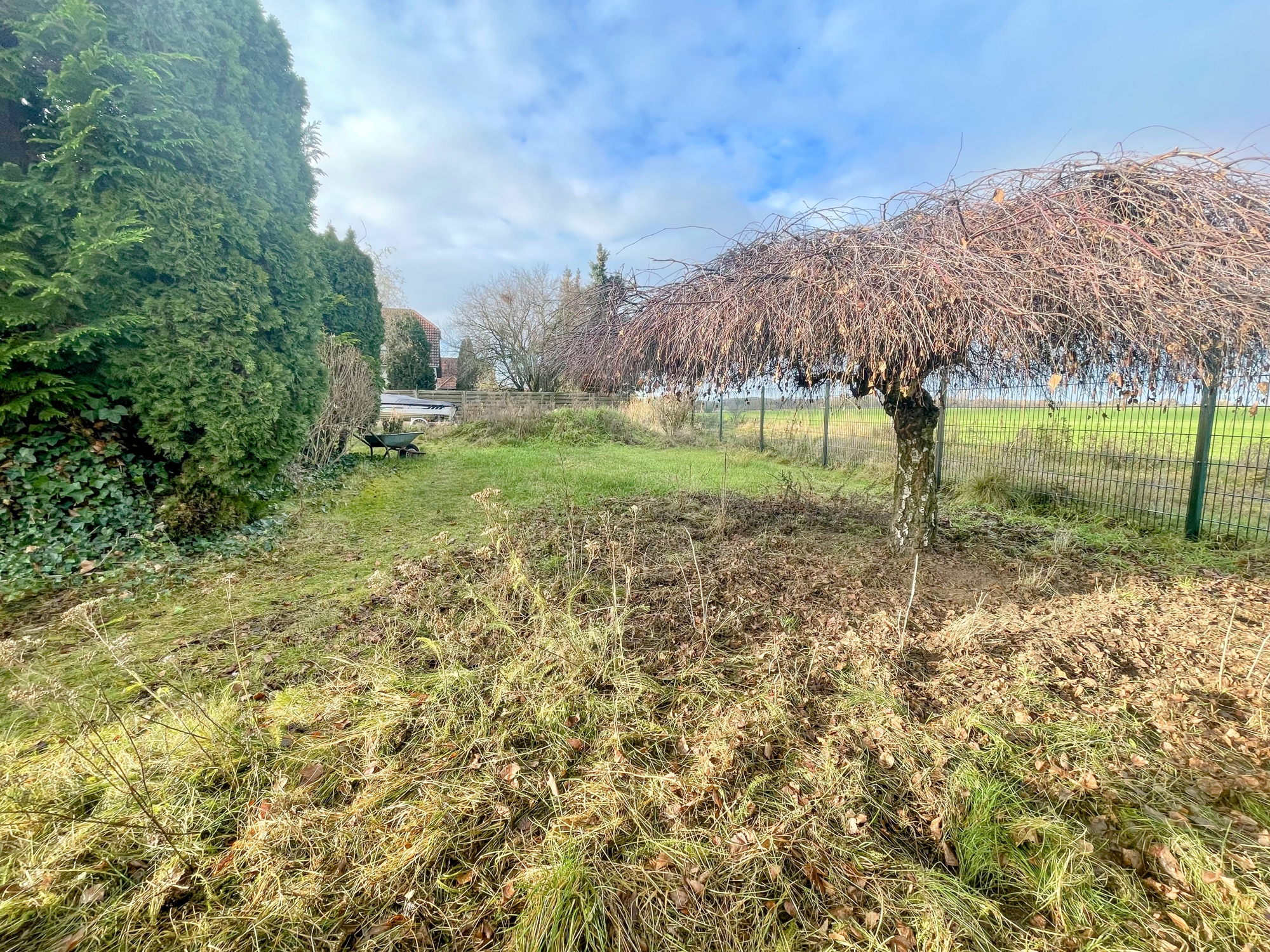 Weitblick auf das Feld