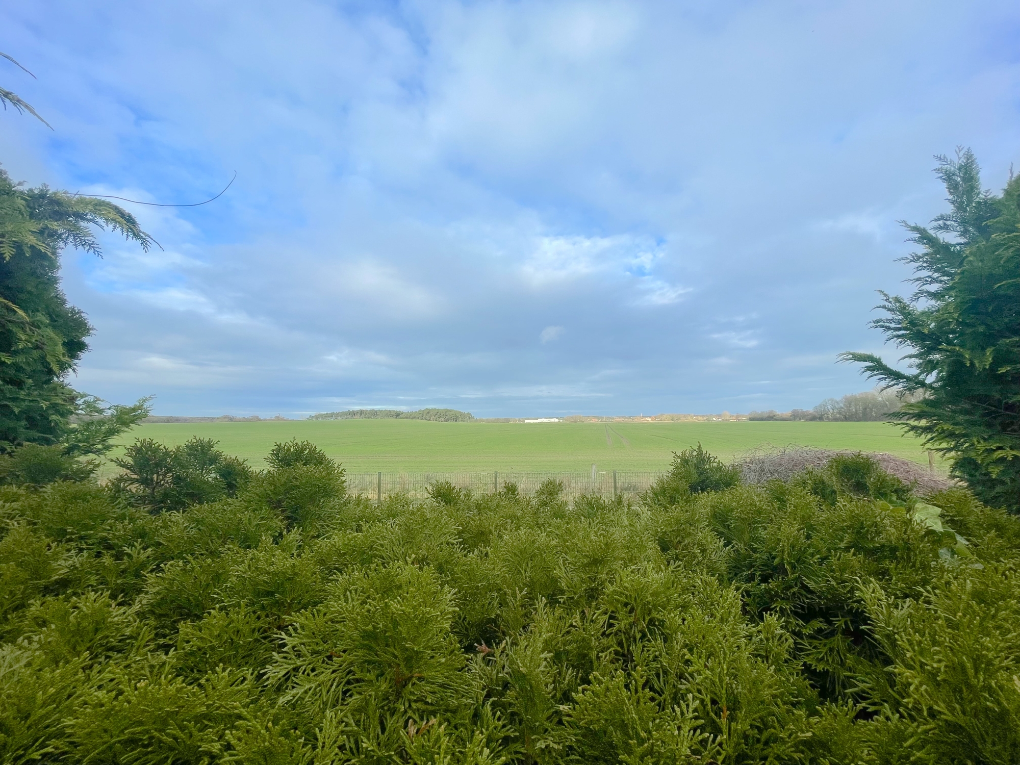traumhafter Weitblick von der TerrasseEG