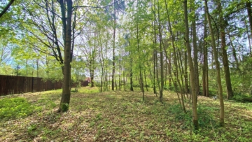 Baugrundstück für Ihr Traumhaus in Fichtenwalde, 14547 Beelitz, Wohngrundstück