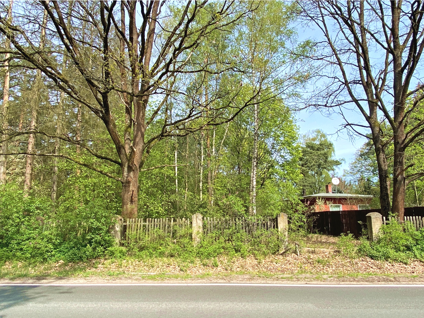 Blick auf das Grundstück - Klaistower Straße