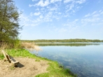 Stadtvilla nur 2 Min. zum Seddiner See - Familienidylle mit schönem Garten - Nur 2 Min. zum Großen Seddiner See