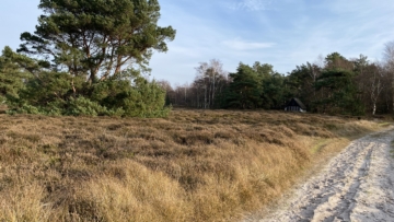 3 D Immo – Gemälde auf der Insel Hiddensee – kein Bauland, 18565 Insel Hiddensee, Freizeit